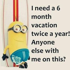 Meet your Posher, Carol